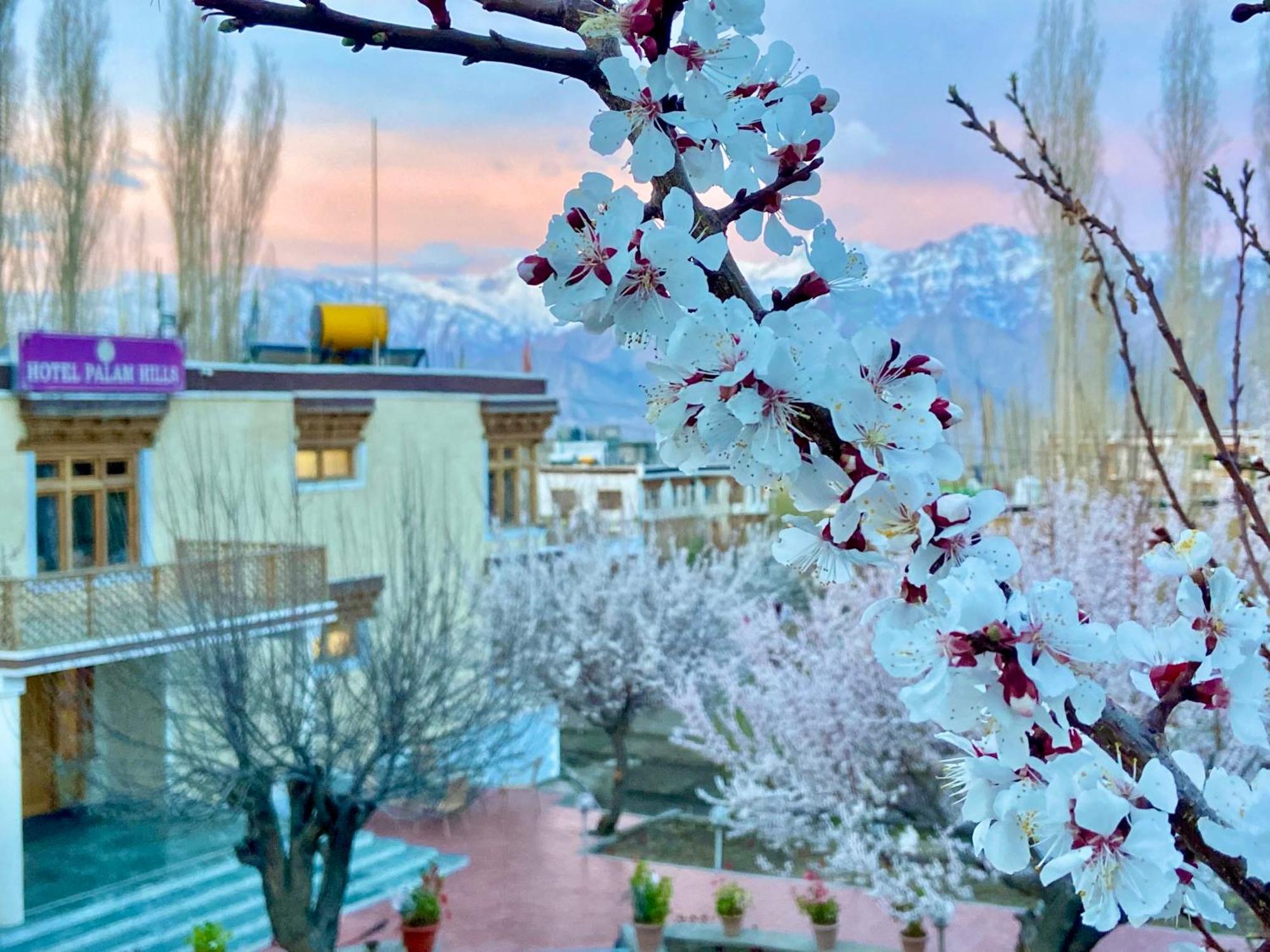 Hotel Palam Hills Leh Zewnętrze zdjęcie