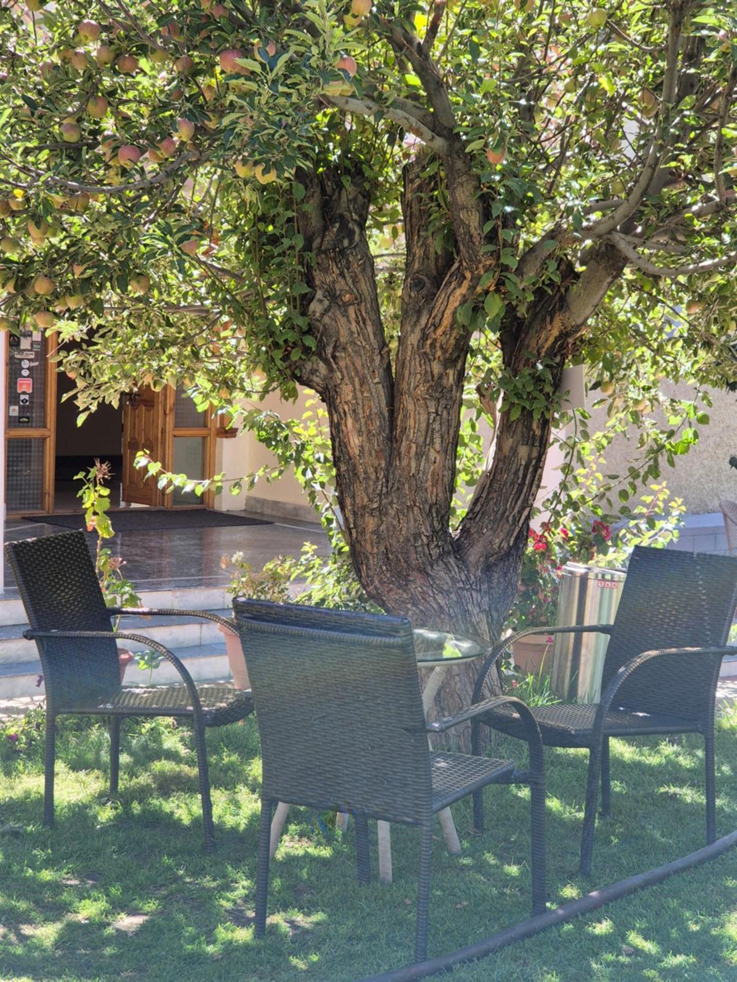 Hotel Palam Hills Leh Zewnętrze zdjęcie