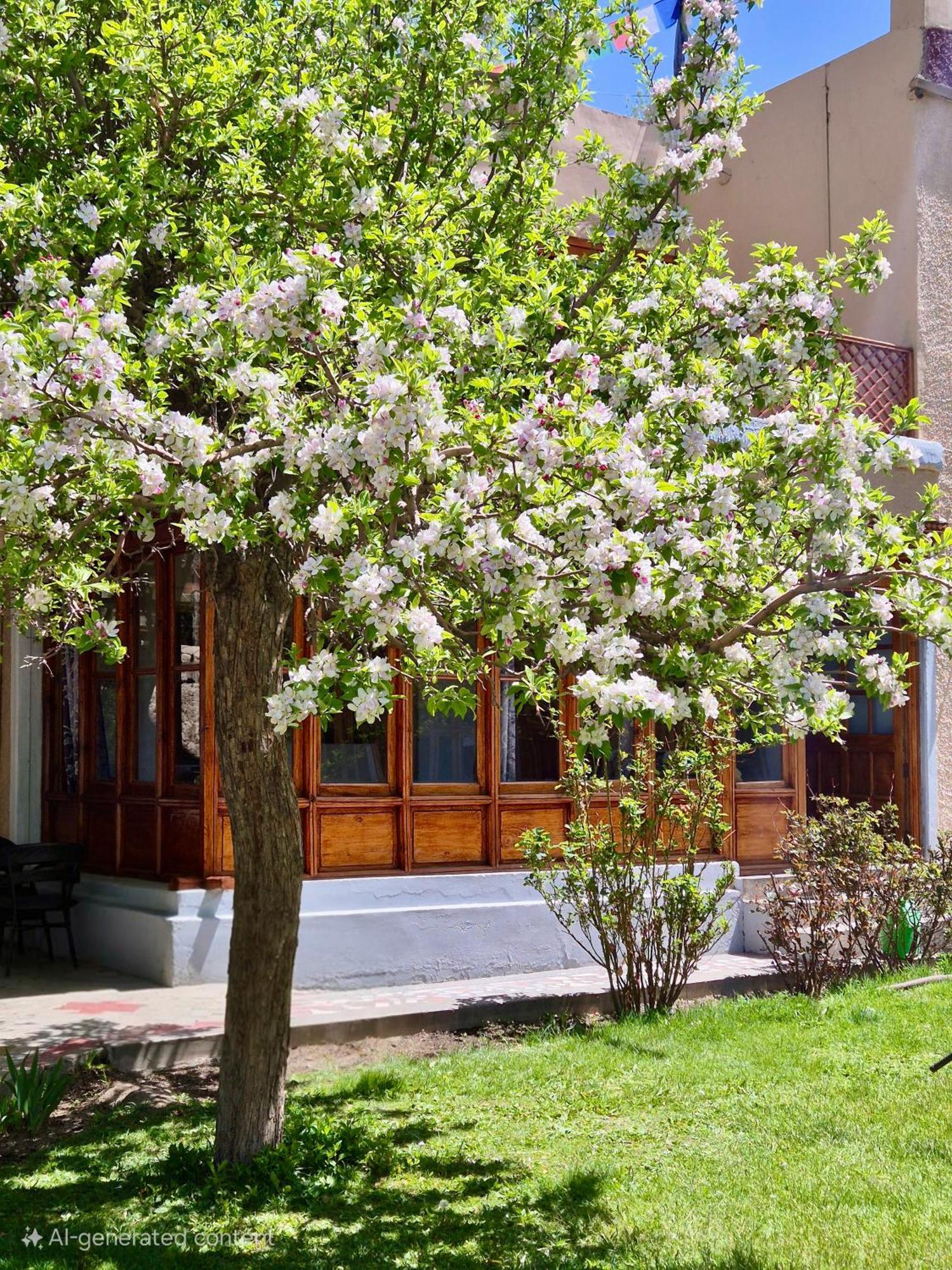 Hotel Palam Hills Leh Zewnętrze zdjęcie