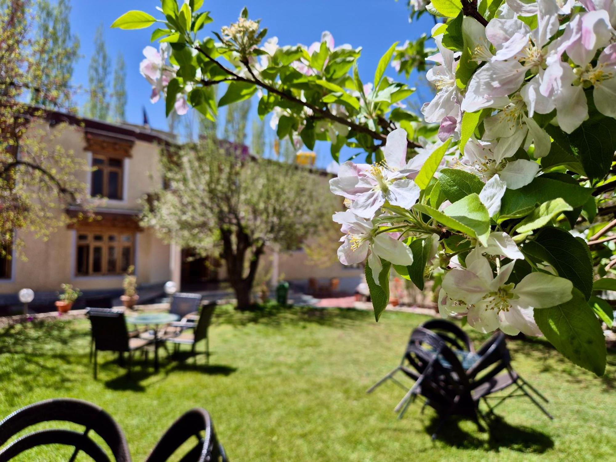 Hotel Palam Hills Leh Zewnętrze zdjęcie